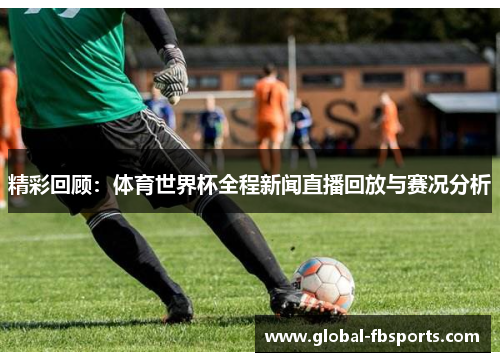 精彩回顾：体育世界杯全程新闻直播回放与赛况分析