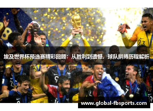 埃及世界杯预选赛精彩回顾：从胜利到遗憾，球队拼搏历程解析