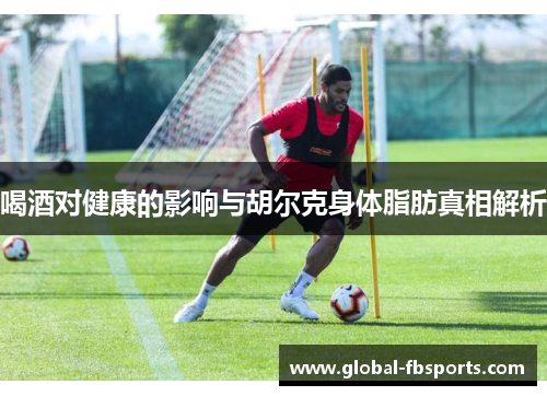 喝酒对健康的影响与胡尔克身体脂肪真相解析